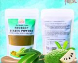 Premium Soursop (Katu Anoda, Anonna) Leaves Powder – Annona muricata